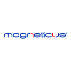 Товары торговой марки "Magneticus"